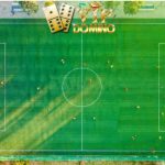 Bek Sayap Austria yang Bermain di Bundesliga 2024/2025