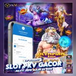 Maxwin di PKV Slot VIP Domino: Sensasi Menang Maksimal yang Nyata!
