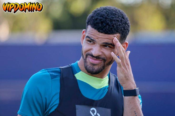 Profil Dominic Solanke, Sukses Juara Liga Europa 2025 bersama Spurs