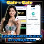💥 Menang 95 Juta di VIP DOMINO – Bukti Nyata Situs Gacor & Aman Buat Cari Cuan!
