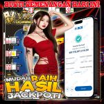 🏆 Jackpot Fantastis! Menang 116 Juta di VIP DOMINO – Situs Gacor & Terpercaya