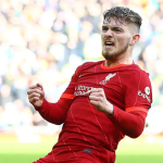5 Pemain Liverpool yang Didatangkan Langsung dari Fulham