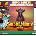 https://heylink.me/feng4d/