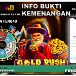 https://heylink.me/feng4d/
