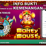 https://heylink.me/feng4d/