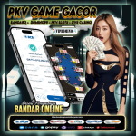 Kemenangan Besar Rp114 Juta di Situs Gacor VIP DOMINO