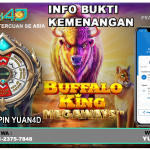 shortq.org/vipyuan4d