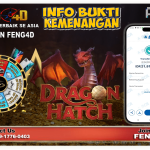 heylink.me/feng4d