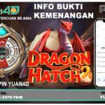 shortq.org/vipfeng4d