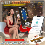 Kemenangan BandarQ Seolah Tak Ada Habisnya di VIPDOMINO!