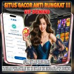 ๐ Kemenangan Besar 78 Juta di VIP DOMINO, Bukti Situs Paling Gacor!